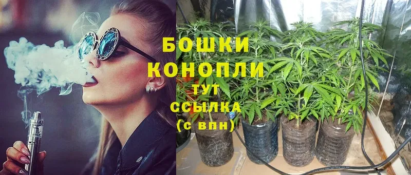 KRAKEN ONION  Вольск  Бошки Шишки White Widow 